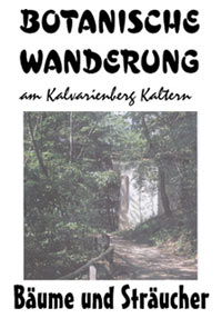 Botanische Wanderungen am Kalvarienberg